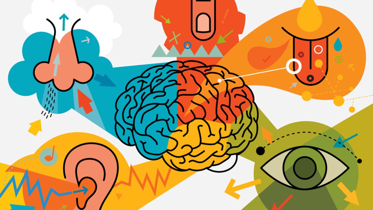 truyen-thong-da-giac-quan